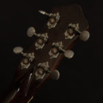 2005 Wayne Henderson D-42