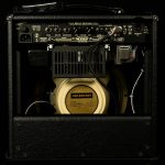 Custom Mark Five Twenty-Five