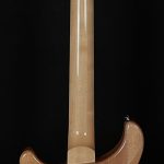 2021 Model SE Custom 24