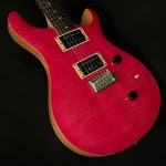 2021 Model SE Custom 24