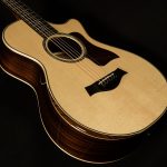 812ce 12-Fret