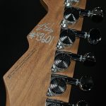 Gil Parris Signature GPS