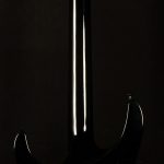 Pro Series Signature Chris Broderick Soloist 6