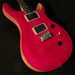 2021 Model SE Custom 24