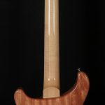 2021 Model SE Custom 24