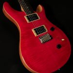 2021 Model SE Custom 24