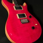 2022 Model SE Custom 24