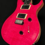 2022 Model SE Custom 24