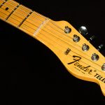 2022 Collection 1968 Telecaster Thinline - Journeyman Relic