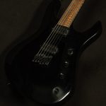 Pro Series Signature Chris Broderick Soloist HT6