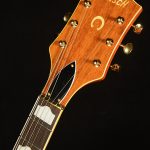 G6120DE Duane Eddy Signature 6120