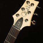 CE 24 Semi-Hollow
