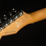 Greg Koch Signature Gristlemaster