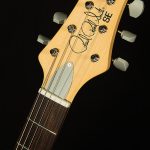 2022 Model SE John Mayer Silver Sky