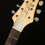 2022 Model SE John Mayer Silver Sky