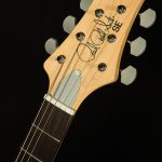 2022 Model SE John Mayer Silver Sky