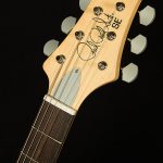2022 Model SE John Mayer Silver Sky