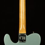 Chrissie Hynde Telecaster