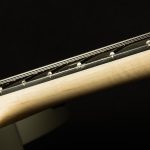 Jim Root Telecaster