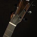 2023 214ce DLX LTD