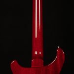 Limited Edition 10th Anniversary S2 Custom 24