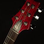 Limited Edition 10th Anniversary S2 Custom 24