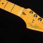 American Professional II Stratocaster