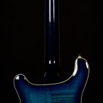 2022 Model SE Hollowbody II