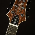 2022 Model SE Hollowbody II