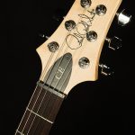 CE 24 Semi-Hollow