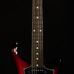 S2 Standard 24