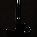 Adam Jones Les Paul Standard