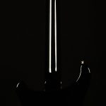 Limited Edition 10th Anniversary S2 Custom 24
