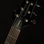 Limited Edition 10th Anniversary S2 Custom 24