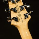 2021 Model SE Custom 24