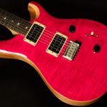 2021 Model SE Custom 24