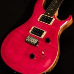 2021 Model SE Custom 24