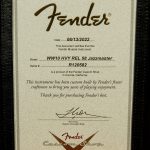 Wildwood 10 1958 Jazzmaster - Heavy Relic