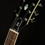 Custom Color Series SG Standard