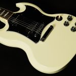 Custom Color Series SG Standard