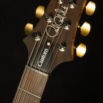 Wildwood Wood Library Custom 24 Fatback - 10 Top