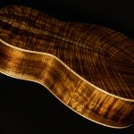 2018 Froggy Bottom Guitars H-12 Limited