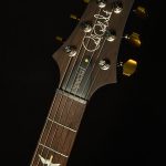 Wildwood Wood Library Special Semi-Hollow - 10 Top, Brazilian Rosewood
