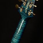 Wildwood Wood Library Special Semi-Hollow - 10 Top, Brazilian Rosewood