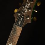 Wildwood Wood Library Special Semi-Hollow - 10 Top, Brazilian Rosewood