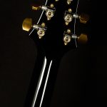 Special Semi-Hollow - 10 Top