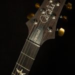 Special Semi-Hollow - 10 Top