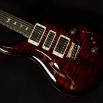 Special Semi-Hollow - 10 Top